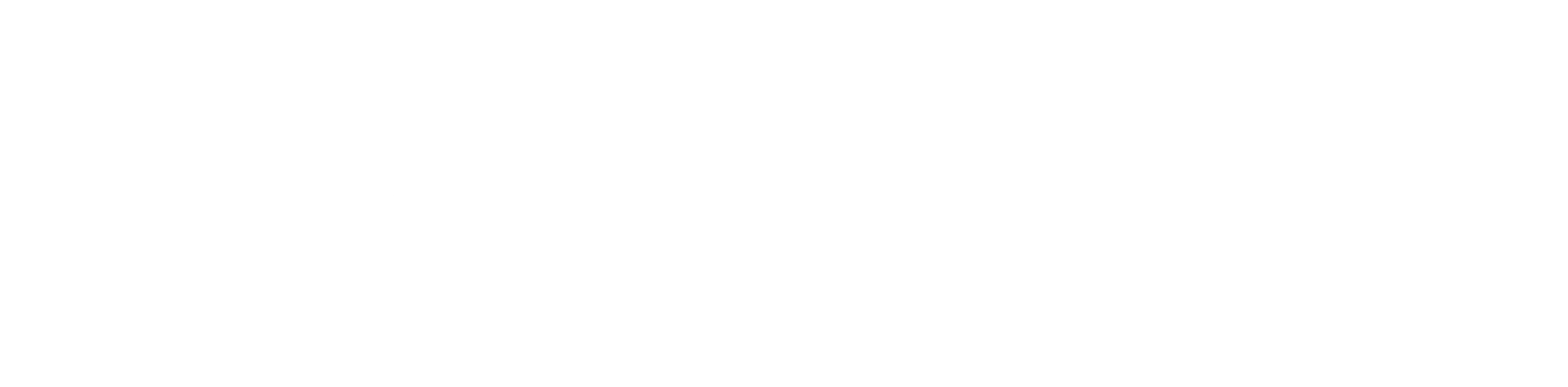 Logo TTI Success Insights France